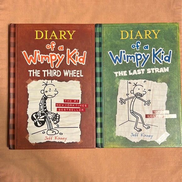 diary of a wimpy kid book 3